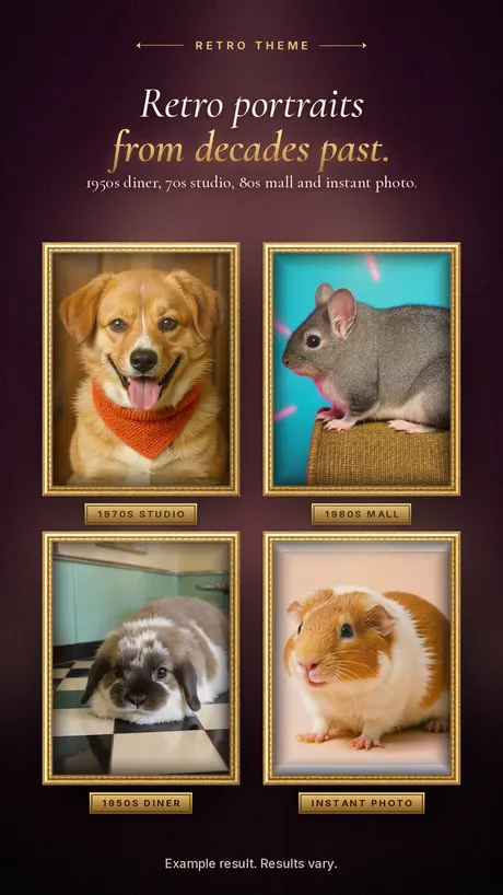 Retro theme example portraits